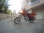 Colt_4f4978335515c.jpg