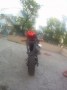 Colt_4f4978335515c.jpg