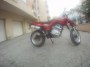 Colt_4f4978335515c.jpg