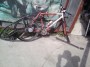 ski-bike_n